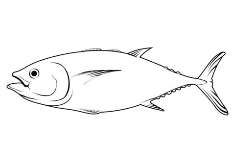 Southern Bluefin Tuna (Thunnus Maccoyii) Coloring Page